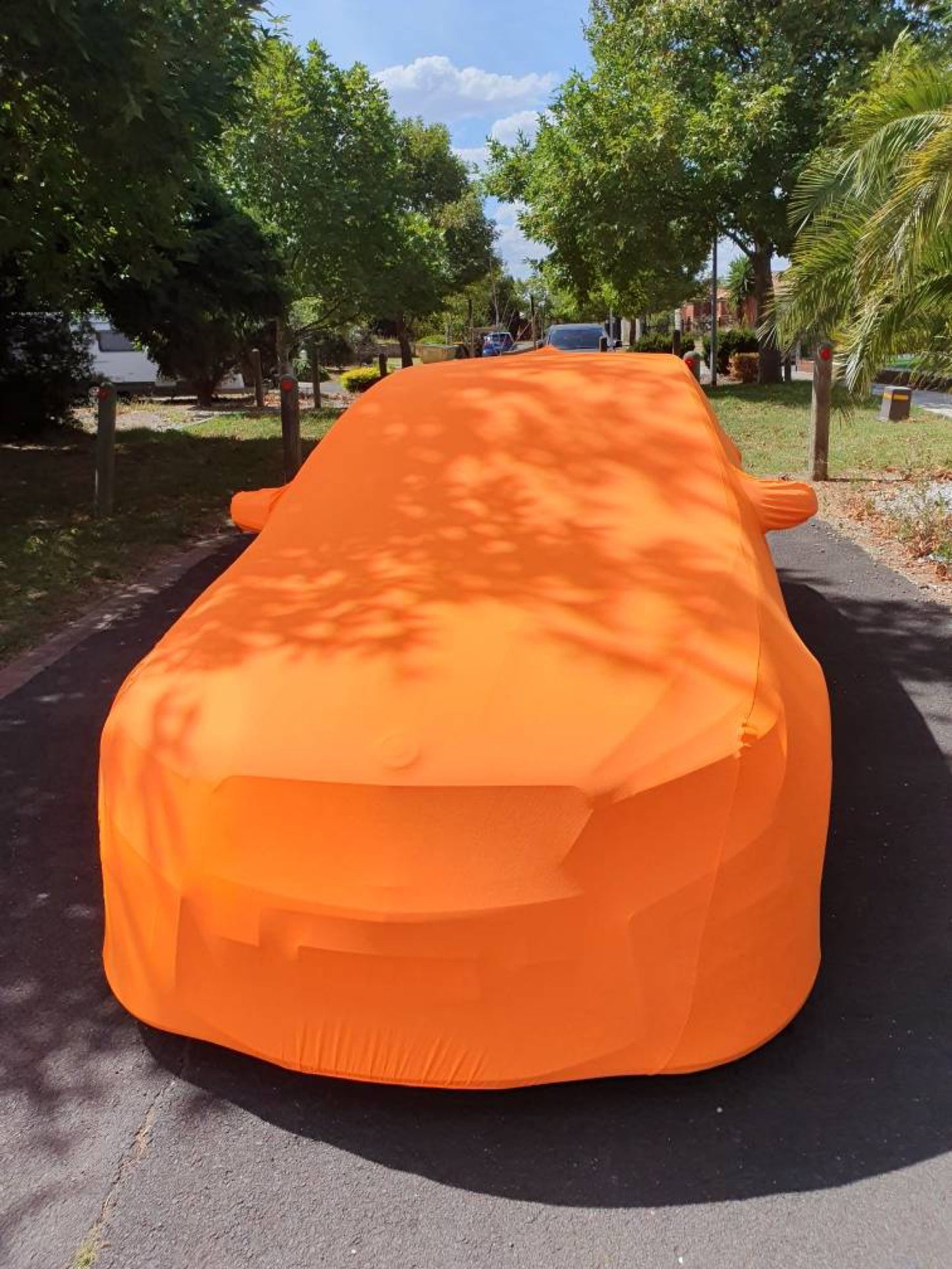 HSV Maloo Cover